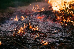 Vivid image of burning ash and flames in the outdoors, capturing the dynamic elements of fire and nature.