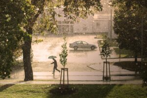 man, nature, umbrella, rain, hail, storm, run, thunderstorm, precipitate, water, climate, road, street, urban, city, rain, rain, rain, hail, storm, storm, storm, storm, storm, climate, climate, climate