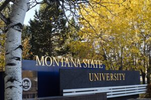 Montana State University north entrance