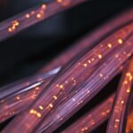 Broadband Revolution: What the New Federal Guidelines Mean for Montana and Beyond