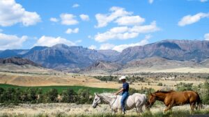 montana, cowboy, horses, scenery, nature, clouds, equine, western