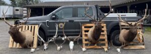 Bull Mountains Poaching Case Evidence
