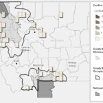 Grizzly Bear Conflicts Hit 59 Cases in Montana as State Launches New Tracking System