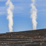 Federal Timber Goals Set to Double Montana’s Forest Harvest