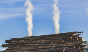 Montana Timber Industry - Plum Creek Northwest Plywood