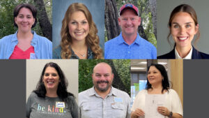 Team Member Portraits Collage