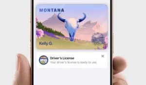 Montana Digital Driver's License on Mobile Device