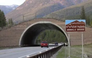Animals' Bridge Wildlife Overpass US Highway 93