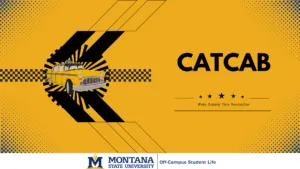 CatCab Safety Awareness Poster