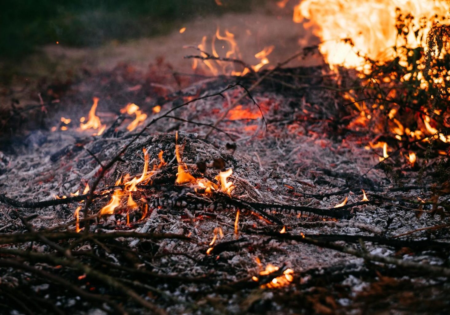 Vivid image of burning ash and flames in the outdoors, capturing the dynamic elements of fire and nature.