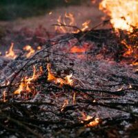 Photo by freestocks.org Vivid image of burning ash and flames in the outdoors, capturing the dynamic elements of fire and nature.