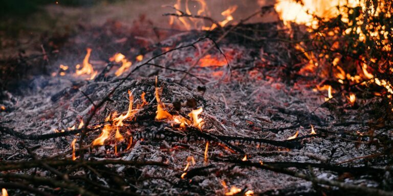 Vivid image of burning ash and flames in the outdoors, capturing the dynamic elements of fire and nature.