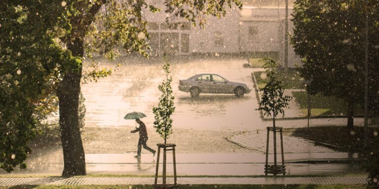 man, nature, umbrella, rain, hail, storm, run, thunderstorm, precipitate, water, climate, road, street, urban, city, rain, rain, rain, hail, storm, storm, storm, storm, storm, climate, climate, climate