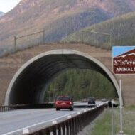 Animals' Bridge Wildlife Overpass US Highway 93 Animals' Bridge Wildlife Overpass US Highway 93