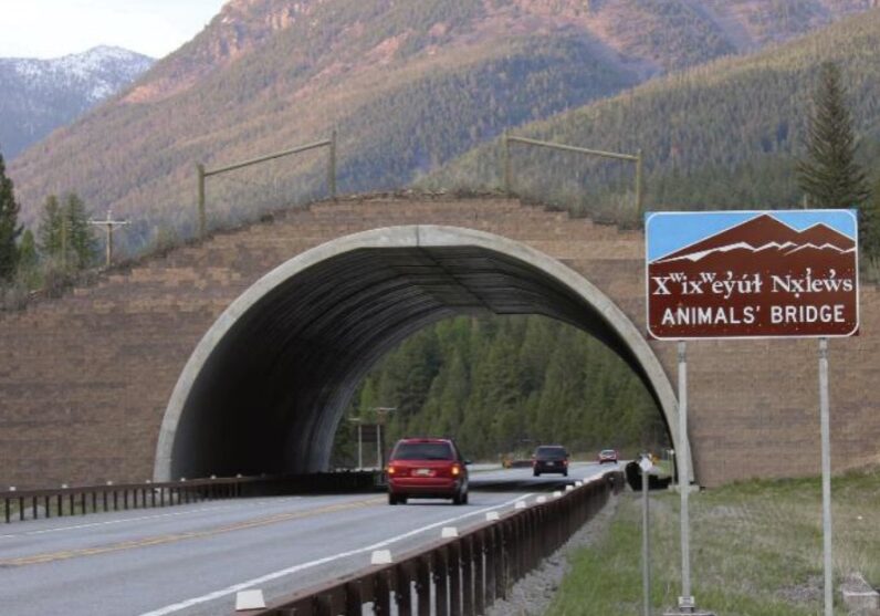 Animals' Bridge Wildlife Overpass US Highway 93 Animals' Bridge Wildlife Overpass US Highway 93