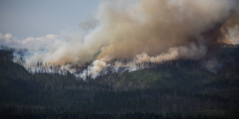 Howe Ridge Fire 2018. Glacier National Park.