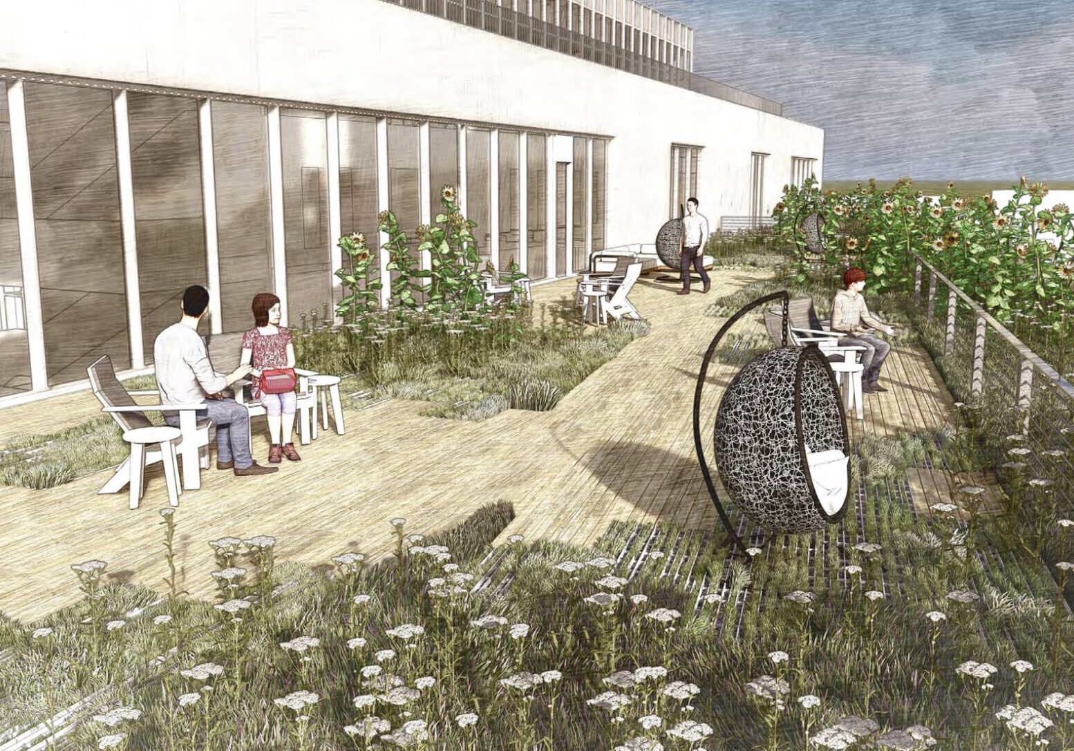 Missoula Public Library Green Roof Rendering
