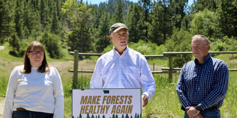 Forest Health Advocacy Press Event