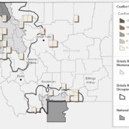 Grizzly Bear Conflicts and Recovery in Montana Grizzly Bear Conflicts and Recovery in Montana