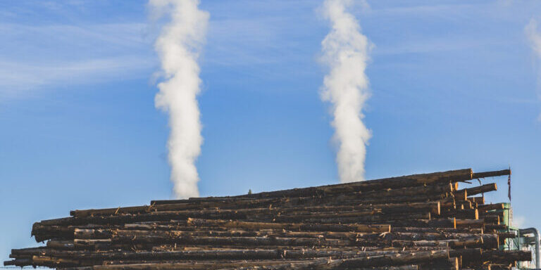 Montana Timber Industry - Plum Creek Northwest Plywood