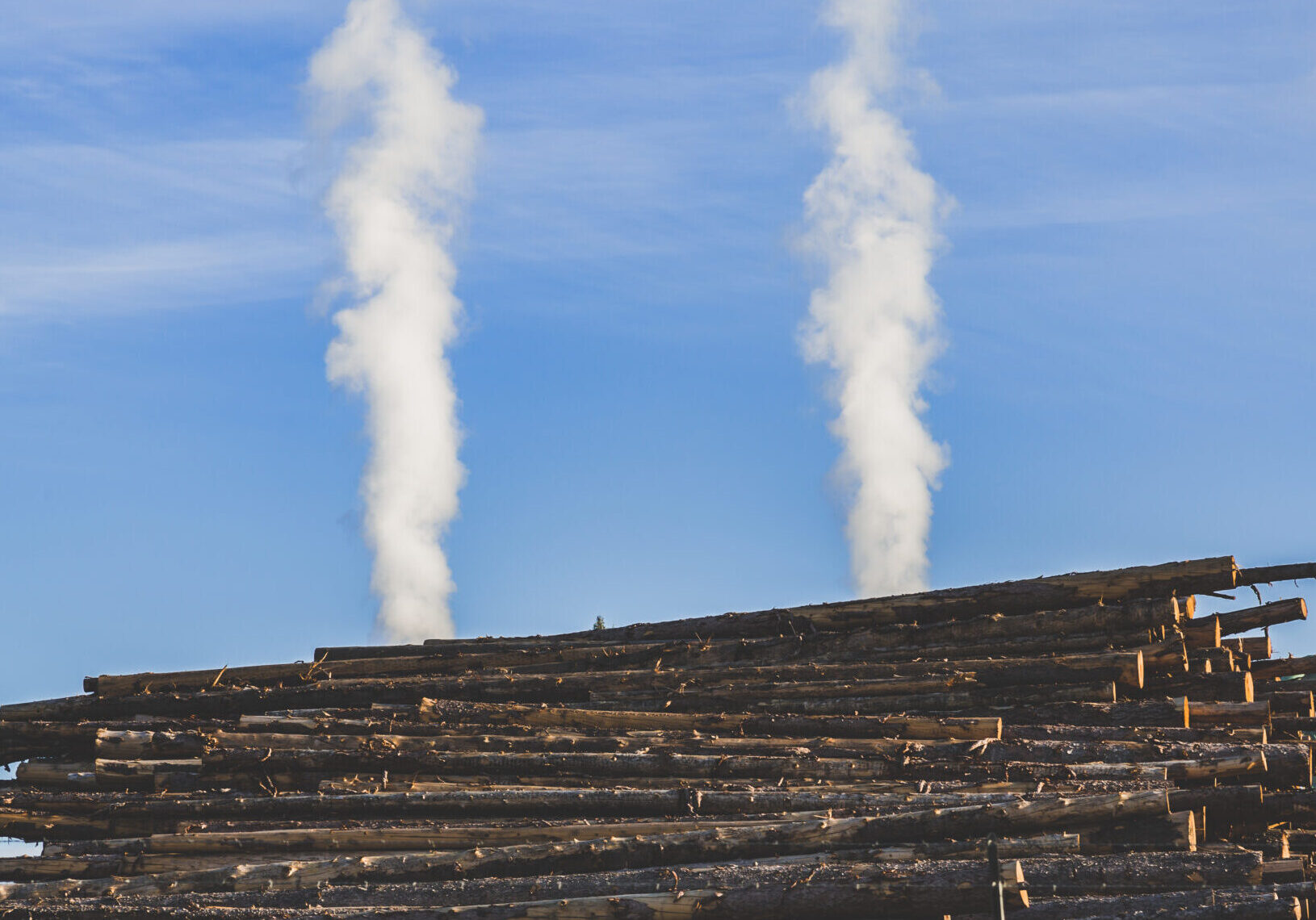 Montana Timber Industry - Plum Creek Northwest Plywood Montana Timber Industry - Plum Creek Northwest Plywood