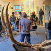 FWP Workshop on Mule Deer Management FWP Workshop on Mule Deer Management