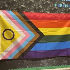Progress Pride and Intersex-Inclusive Flag Display Progress Pride and Intersex-Inclusive Flag Display