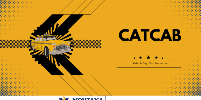 CatCab Safety Awareness Poster