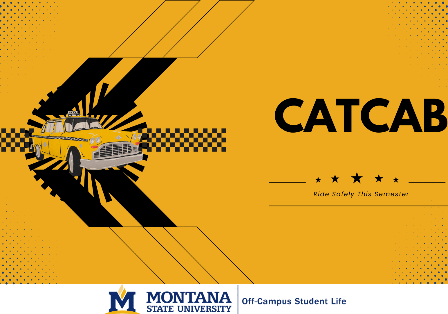 CatCab Safety Awareness Poster