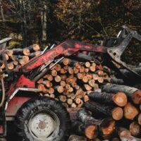 Photo by Yusuf Onuk a tractor is loaded with logs in a forest