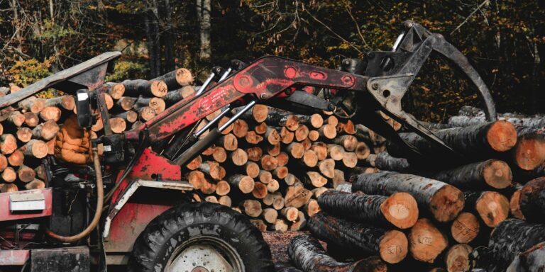 a tractor is loaded with logs in a forest