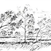 Bend, You Fool Bend, You Fool