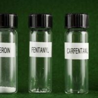 Comparative Potency of Heroin, Fentanyl, and Carfentanil