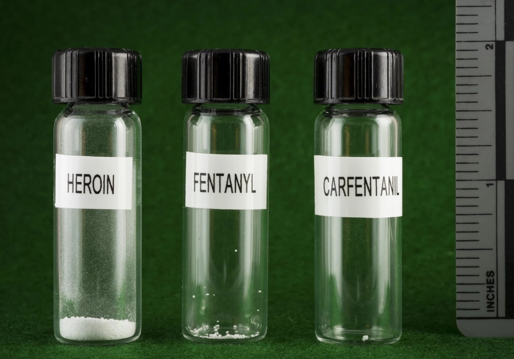 Comparative Potency of Heroin, Fentanyl, and Carfentanil Comparative Potency of Heroin, Fentanyl, and Carfentanil