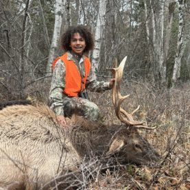 Successful Elk Hunt in Autumn Forest