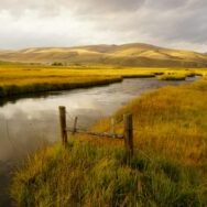 Photo by Dillon Fancher brown wooden fence on green grass field near lake during daytime
