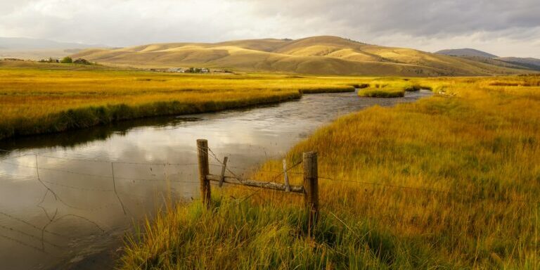 brown wooden fence on green grass field near lake during daytime