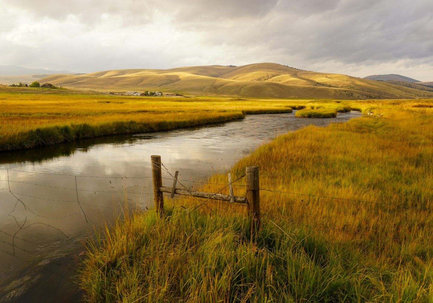 brown wooden fence on green grass field near lake during daytime