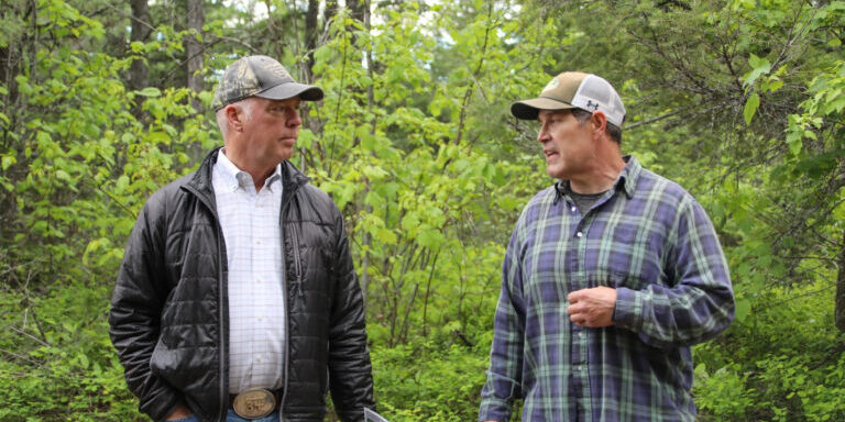 Gov. Gianforte talking with a DNRC state forester at a forest management project in Kalispell in May 2024
