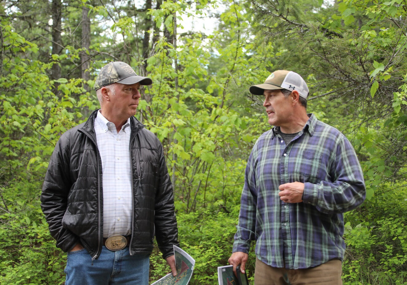 Gov. Gianforte talking with a DNRC state forester at a forest management project in Kalispell in May 2024 Gov. Gianforte talking with a DNRC state forester at a forest management project in Kalispell in May 2024