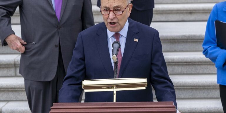 Political Press Conference on Capitol Steps