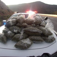 Seized marijuana on law enforcement vehicle hood Seized marijuana on law enforcement vehicle hood