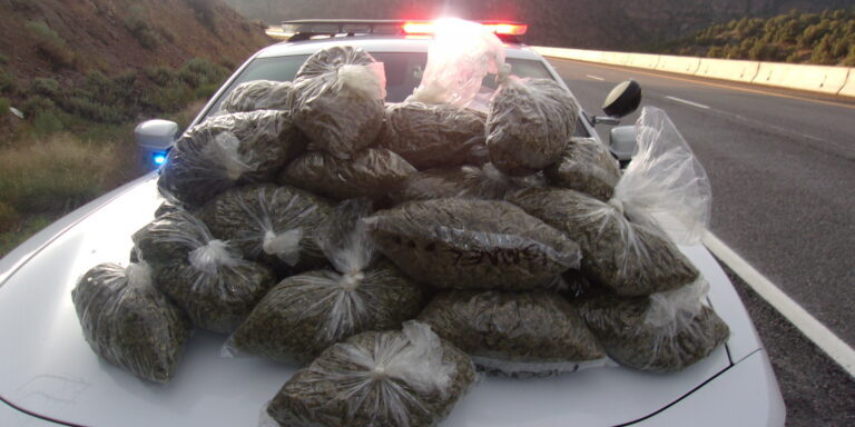 Seized marijuana on law enforcement vehicle hood