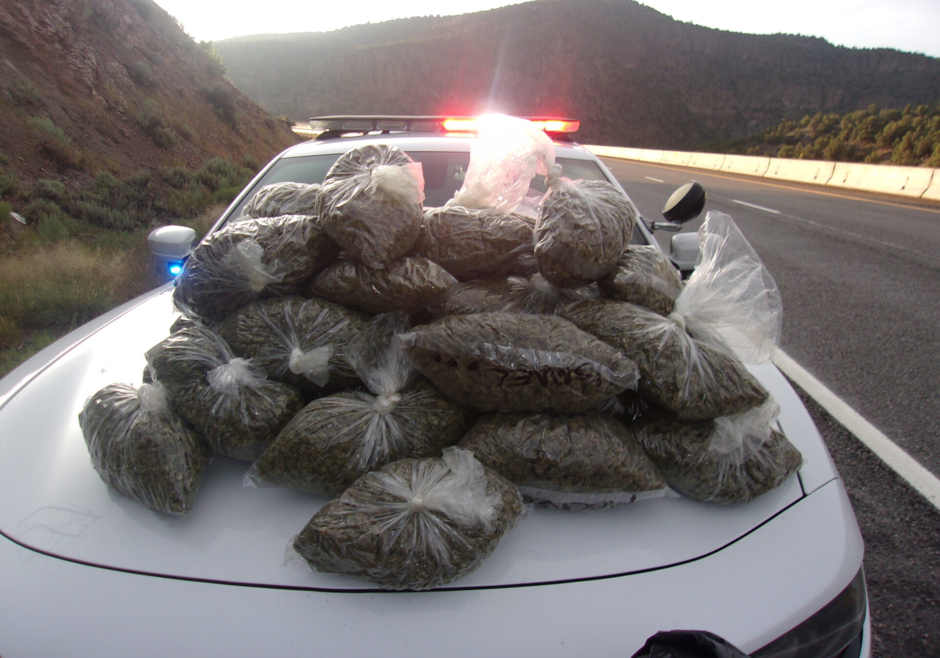 Seized marijuana on law enforcement vehicle hood