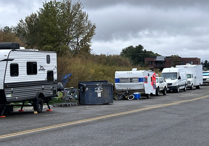 Street-side RV Parade: A Row of Campers