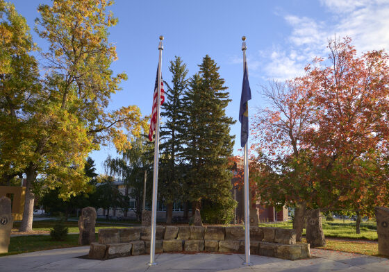 MSU Veterans Park