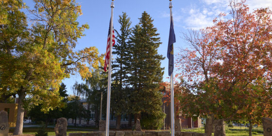 MSU Veterans Park