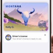 Montana Digital Driver's License on Mobile Device Montana Digital Driver's License on Mobile Device