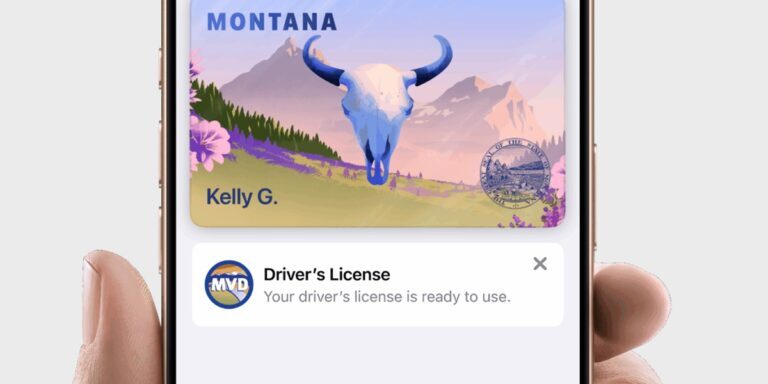 Montana Digital Driver's License on Mobile Device