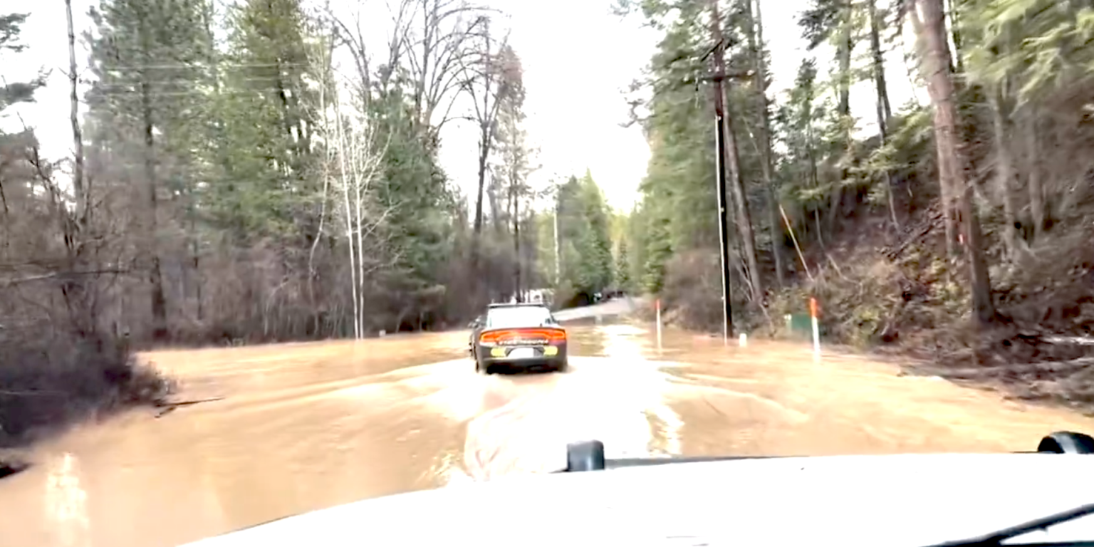 Flooded Forest Road Drive